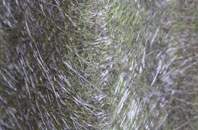 Lower Dowdeswell fibreglass roof work